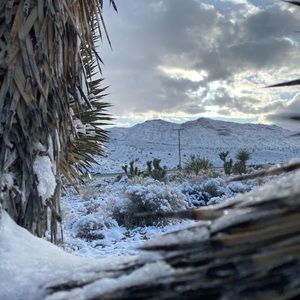 Meet your Posher, Martina